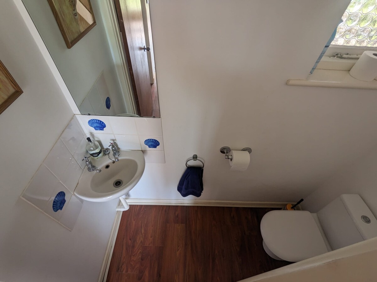 Downstairs WC